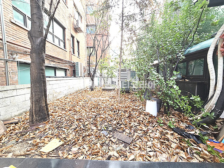 서울 강남구 신사동 압구정역 역세권 병원 학원 회사사옥용 전체 통임대 월세 매물번호 25598 사진 6